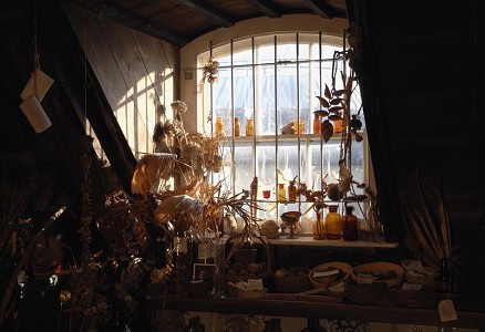 The Old Operating Theatre Museum & Herb Garret
