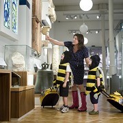 The Royal Albert Memorial Museum