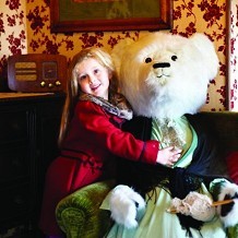 The Teddy Bear Museum