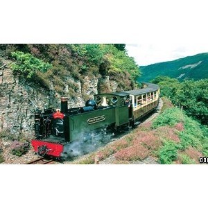 The Vale of Rheidol Railway