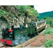 The Vale of Rheidol Railway