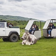 Thornton Hall Farm Country Park