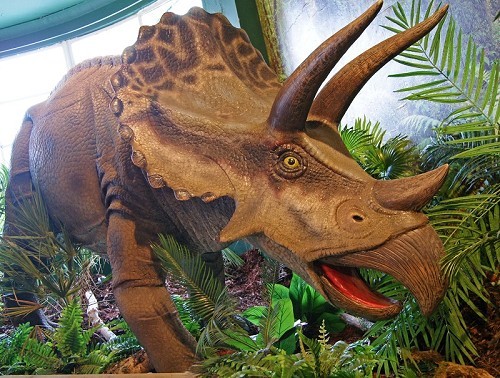 Torquay's Dinosaur World