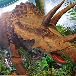 Torquay's Dinosaur World