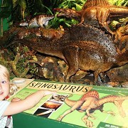Torquay's Dinosaur World