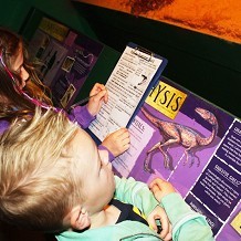 Torquay's Dinosaur World