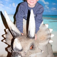 Torquay's Dinosaur World