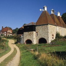 Toys Hill - © Andrew Butler