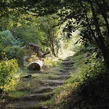 Toys Hill - © Andrew Butler