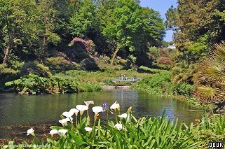 Trebah Gardens