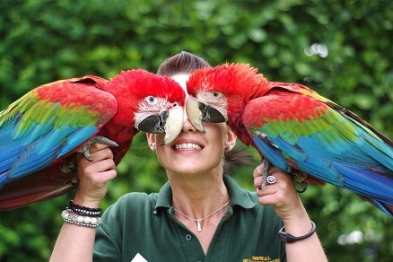 Tropical Butterfly House