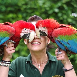 Tropical Butterfly House