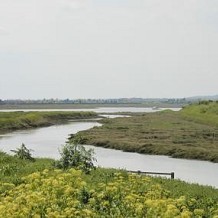 Two Tree Island