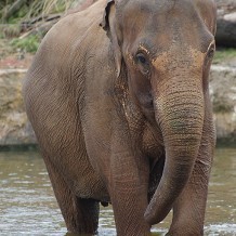 Twycross Zoo - &copy; Twycross Zoo