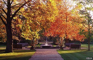 University of Oxford Botanic Garden