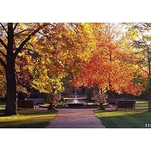 University of Oxford Botanic Garden