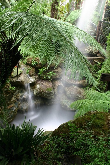 Ventnor Botanic Garden