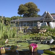 Ventnor Botanic Garden