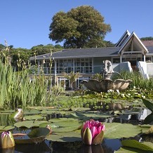 Ventnor Botanic Garden