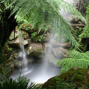 Ventnor Botanic Garden