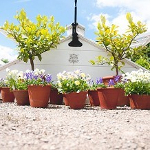West Dean Gardens