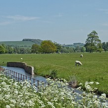 West Dean Gardens