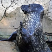 Weymouth SEA LIFE Adventure Park and Tower