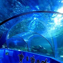 Weymouth SEA LIFE Adventure Park and Tower