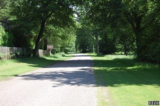 Windsor Great Park