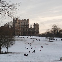 Wollaton Hall and Deer Park