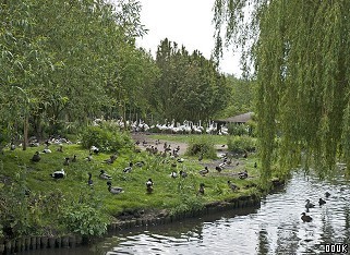 WWT Martin Mere Wetland Centre