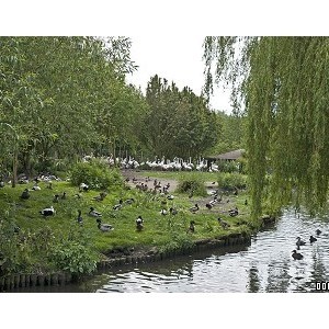 WWT Martin Mere Wetland Centre