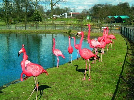 ZSL Whipsnade Zoo