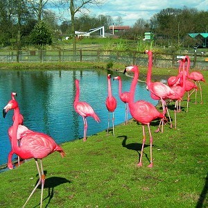 ZSL Whipsnade Zoo