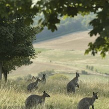 ZSL Whipsnade Zoo