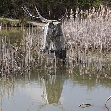 Wat Tyler Country Park -  by bs3