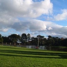 Alton Towers - the greenery  by chumpy