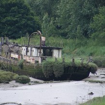 Wat Tyler Country Park - Going Green by edgun