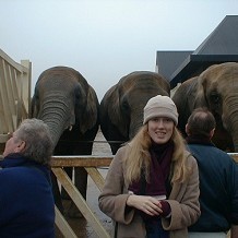 Colchester Zoo - This is da missus in front of da phants. by fuzzyfish