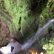 Shanklin Chine, Isle of Wight by Fuzzyfish1000