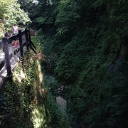 Shanklin Chine, Isle of Wight by Fuzzyfish1000