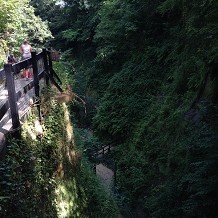Shanklin Chine - Shanklin Chine, Isle of Wight by Fuzzyfish1000