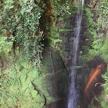 Shanklin Chine - Shanklin Chine, Isle of Wight by Fuzzyfish1000