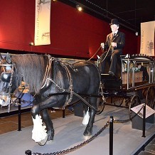 York Castle Museum - Hearse. by Londoner03