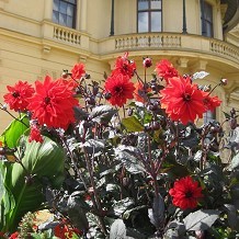 Osborne House - The Terrace Garden by OsborneBeach